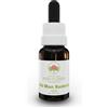 Bush Biotherapies Pty Ltd Australian Bush Flower Essences Old Man Banksia Integratore Per L'energia Gocce Orali 15ml