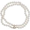 VIVIENNE WESTWOOD - Collana - Avorio