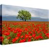 Wallazz Quadri Moderni Soggiorno Paesaggio di campagna, Fiori - 100% Made in Italy - Stampa su Tela - Quadro Camera da Letto - Qualità Artigianale - 60x120cm