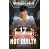 Priscilla E Oates 17 Felony Charges (Copertina rigida)