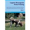 Training Centra Lagotto Romagnolo Tricks Training Lagotto Romagnolo (Tascabile)