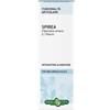 Erba Vita Spirea Ulmaria Tintura Idroalcolica 50 Ml Ebv