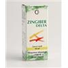 Pharmextracta Zingiber Delta Soluzione Idroalcolica 50 Ml
