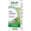 Boiron Olea Europaea Boiron Macerato Glicerico 60 Ml