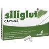 Shedir Pharma Siliglut 20 Capsule