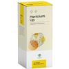 Gheos Hericium Up 90 Capsule