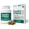Innovet Condrostress Mobility 90 Soft Chews