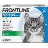 Boehringer Ingelheim Frontline Spot On Gatti