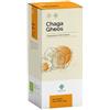 Gheos Chaga Gheos 60 Capsule 750 Mg