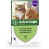 Elanco Advantage 80 Mg Soluzione Spot-on Per Gatti Grandi E Conigli Grandi
