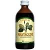 Arcangea Piantaggine Sciroppo 200 Ml