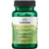 Swanson Health Products Lactobacillus Gasseri 3 miliardi di CFU 60 DRCapsule vegetali