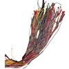 R&F srls Bracciali porta Fortuna BRASILIANI 1 blister da 100 Filini Multicolore Colore cartone casuale