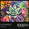 Buffalo Games 11985 Puzzle Semplice Succulente, Verde, L
