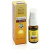 GUNA SpA Resource Remedy Spray 10 ml