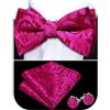 Barry.Wang Papillon a righe Paisley da uomo in seta pre-annodato papillon tascabile gemelli quadrati set formale festa di nozze ballo