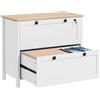 EasyComfort Armadietto Portadocumenti con 2 Cassetti per Cartelle A4, Serratura e Chiavi, 76x40x76cm, Bianco