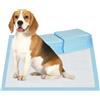 EasyComfort Set 80 Tappetini Igienici per Cani a 6 Strati in Tessuto non Tessuto, Carta e PE, 60x60 cm, Blu e Bianco
