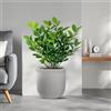 Divina Garden Vaso in resina da esterno interno per piante cilindro di design d.35x34h Raffaello Beige