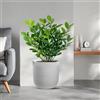 Divina Garden Vaso in resina da esterno interno per piante cilindro di design d.35x34h Raffaello Bianco