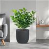 Divina Garden Vaso in resina da esterno interno per piante cilindro di design d.35x34h Raffaello Grigio