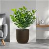 Divina Garden Vaso in resina da esterno interno per piante cilindro di design d.35x34h Raffaello Marrone