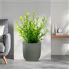 Divina Garden Vaso in resina da esterno interno per piante cilindro di design d.35x34h Raffaello Verde