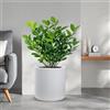 Divina Garden Vaso in resina da esterno interno per piante tondo cilindrico di design d.36x35h Modigliani Bianco