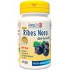 LONGLIFE Srl LONGLIFE OLIO RIBES NERO 60PRL