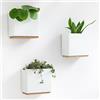 Kazai. Fioriere da Parete -Alma- | 3 Vasi per Piante Sospesi Moderni in Resina | Set Porta Piante per Piante da Interno, Piante Artificiali e altro | Bianco