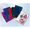 liderpapel DP15 - cartellina con 30 fogli, formato A4, colore: Blu