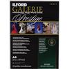 Ilford Galerie Prestige lucida - Carta fotografica, 260 g A4, 25 Pezzi