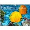 CALVENDO Paradiese im ewigen Blau. Die bunte Unterwasserwelt (Wandkalender 2023 DIN A4 quer): Das bunte Treiben der schönen Lebewesen unter Wasser (Monatskalender, 14 pagine) (CALVENDO Tiere)