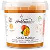 Dolcincasa.com Pasta Gelato al Mango Prodotto per Fare il Gelato alla Frutta al Naturale con Gelatiera Bimby 200 g