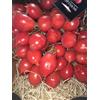 Azbuy Pomodorino del Piennolo del Vesuvio kg.1,5