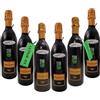 Selected by PARMAshop Otello Ceci For the Future - 6 Bottiglie in alluminio - Tappo in Sughero - Lambrusco I.G.T. Otello Nero - Selected by PARMAshop