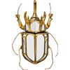 KARE Design Oggetto da parete Beetle Mirror, a specchio, 25x39cm, scarabeo | adobbo murale individuale, effetto arredante, stile esotico, anche altre varianti disponibile per composizione