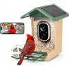 Rollei Mangiatoia per Uccelli Intelligente con Telecamera 3K Smart Bird Feeder da Esterno con Pannello Solare AI Identificazione di 10000 Uccelli Visione Notturna a Colori Notifica Istantanea IP65