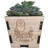 CandleSweetCandle - 3 PEZZI Vasetto personalizzato in legno per piantine grasse per bomboniera o segnaposto battesimo, comunione, matrimonio. Piantina non inclusa (Comunione ostia)