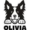 style4us adesivo personalizzato border collie a bordo