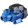 Bakaji Elettropompa Autodescante per Autoclave Periferica Potenza 0,5 HP (370W) Pompa con Motore in Rame Girante in Ottone Albero in Acciaio e Corpo in Ghisa Portata Massima 30L/min