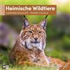 Ackermann Kunstverlag Heimische Wildtiere Broschürenkalender 2026 - 30x30 - Art12 | Bildgewaltiger Tier-Kalender im schlanken Hochformat (aufgeklappt 30x60 cm) | Notizen