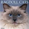 Willow Creek press Ragdoll Cats 2025 Wall
