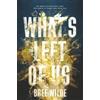 Bree Wilde What's Left of Us: A Spicy Second-Chance Romance: A Second Chance College Romance