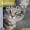 Ackermann Kunstverlag Katzen Broschürenkalender 2027 - 30x30 - Art12 | Niedlicher Tier-Kalender im schlanken Hochformat (aufgeklappt 30x60 cm) | mit Eintrage-Kalendarium