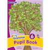 Jolly Learning Ltd Grammar. Pupil book (in print letters). Per la Scuola elementare. Con espansione online (Vol. 6): In Print Letters (British English edition)
