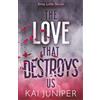Choc Lit The Love That Destroys Us: The dark, addictive, high school bully romance with suspense