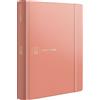 Edizioni Giuridiche Simone Agenda legale 2025. Ediz. silk pink. Con web app Agenda Legale Pro
