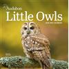 Workman Calenders Audubon Little Owls Mini Wall Calendar 2026: A Year of Fluffy and Round Owls
