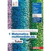 Zanichelli Matematica multimediale.blu. Con Tutor. Per le Scuole superiori. Con espansione online (Vol. 1)